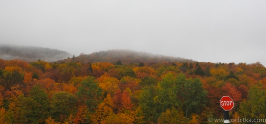 Foliage in Vermont - by orbitka.com