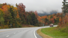 Foliage in Vermont - by orbitka.com